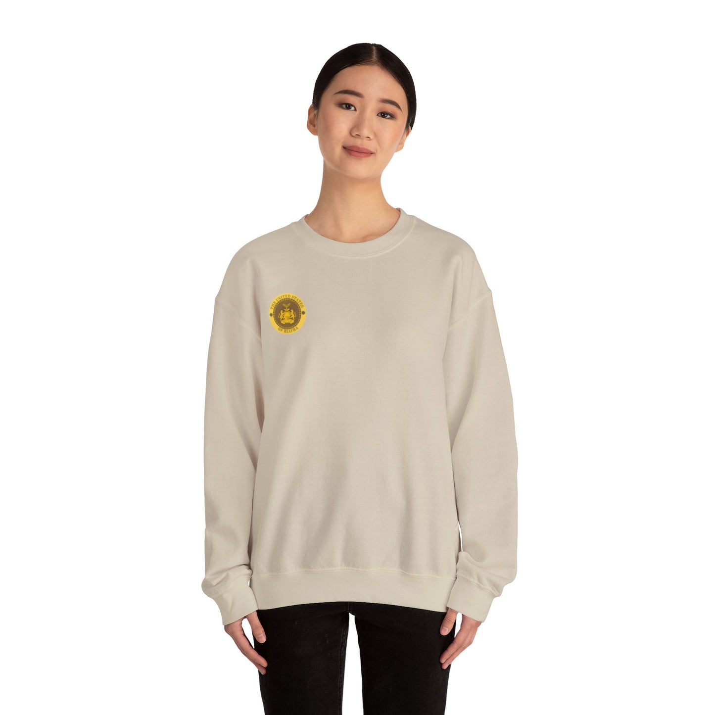 USB Sweatshirt