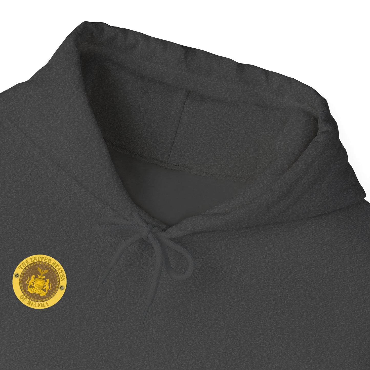 USB Hoodie
