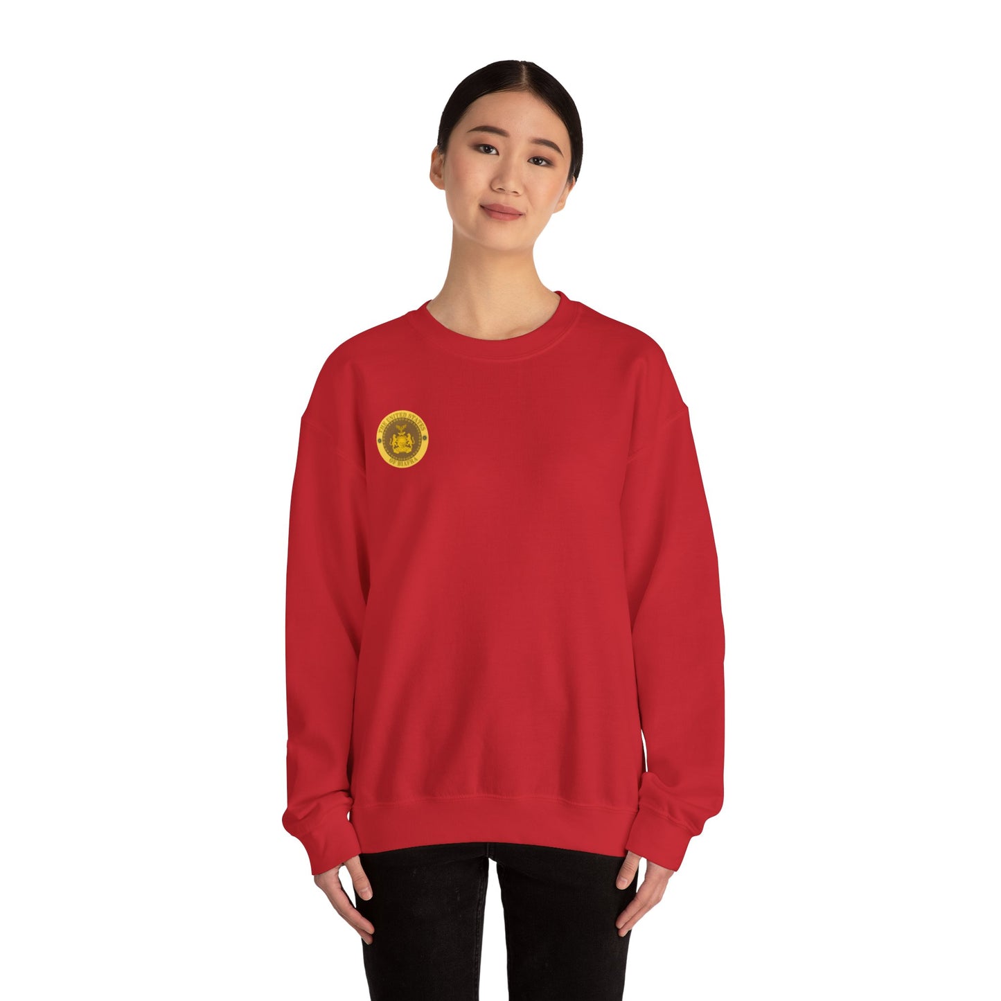 USB Sweatshirt