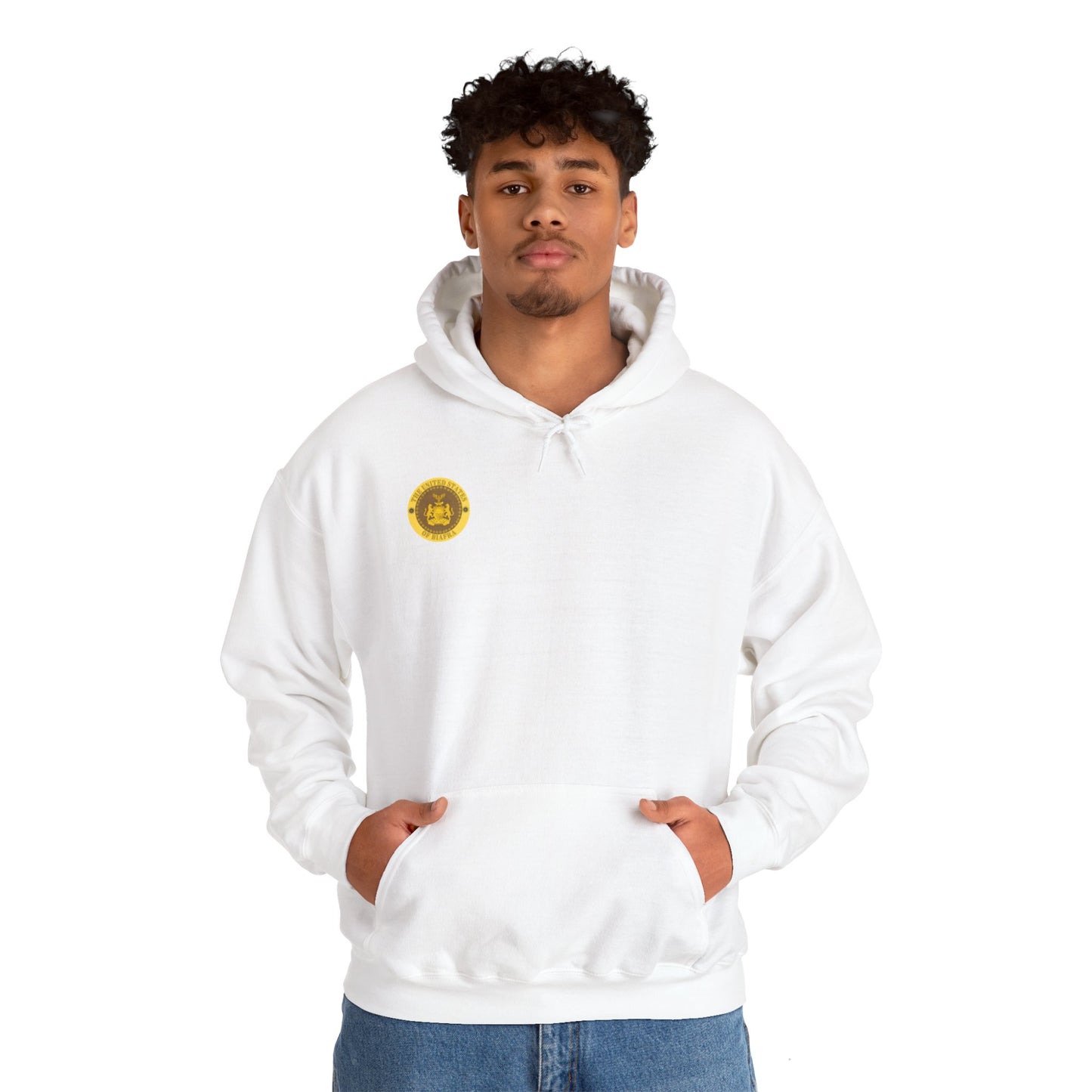 USB Hoodie