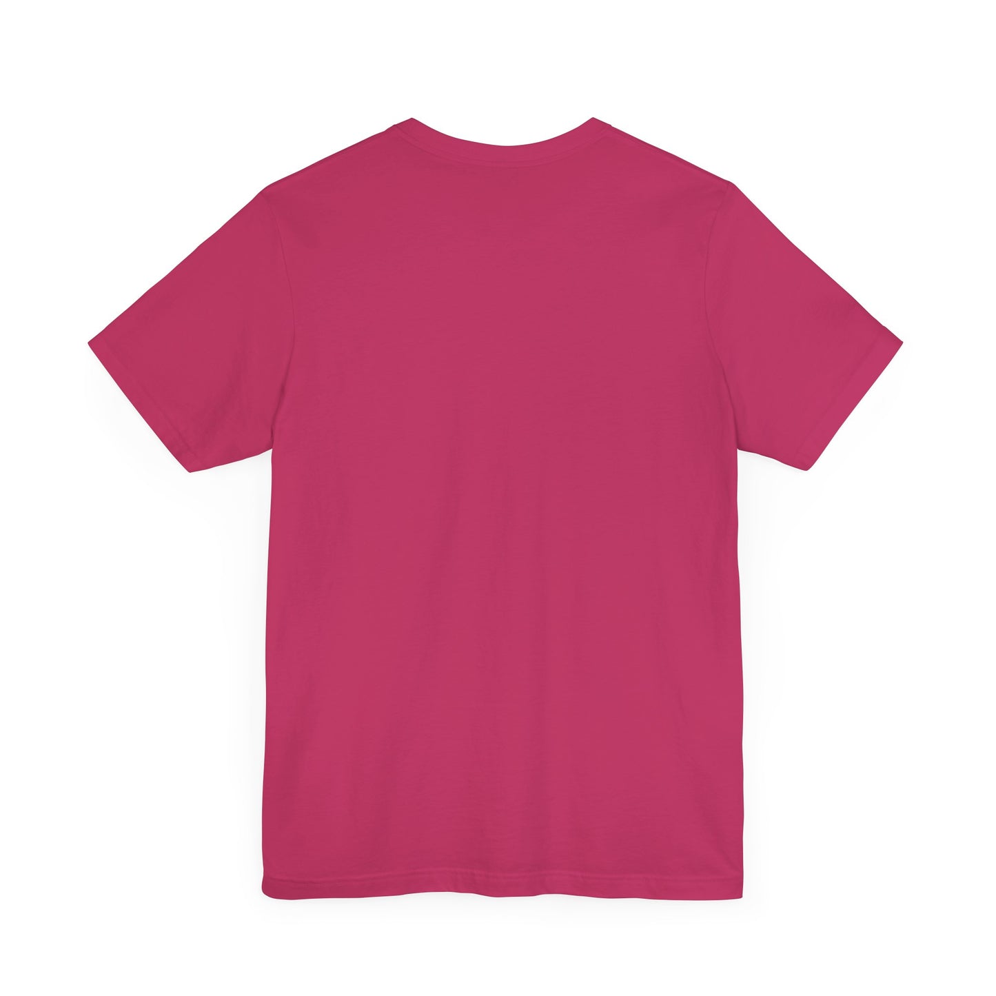 BRGIE T-Shirt (3rd Color Batch)
