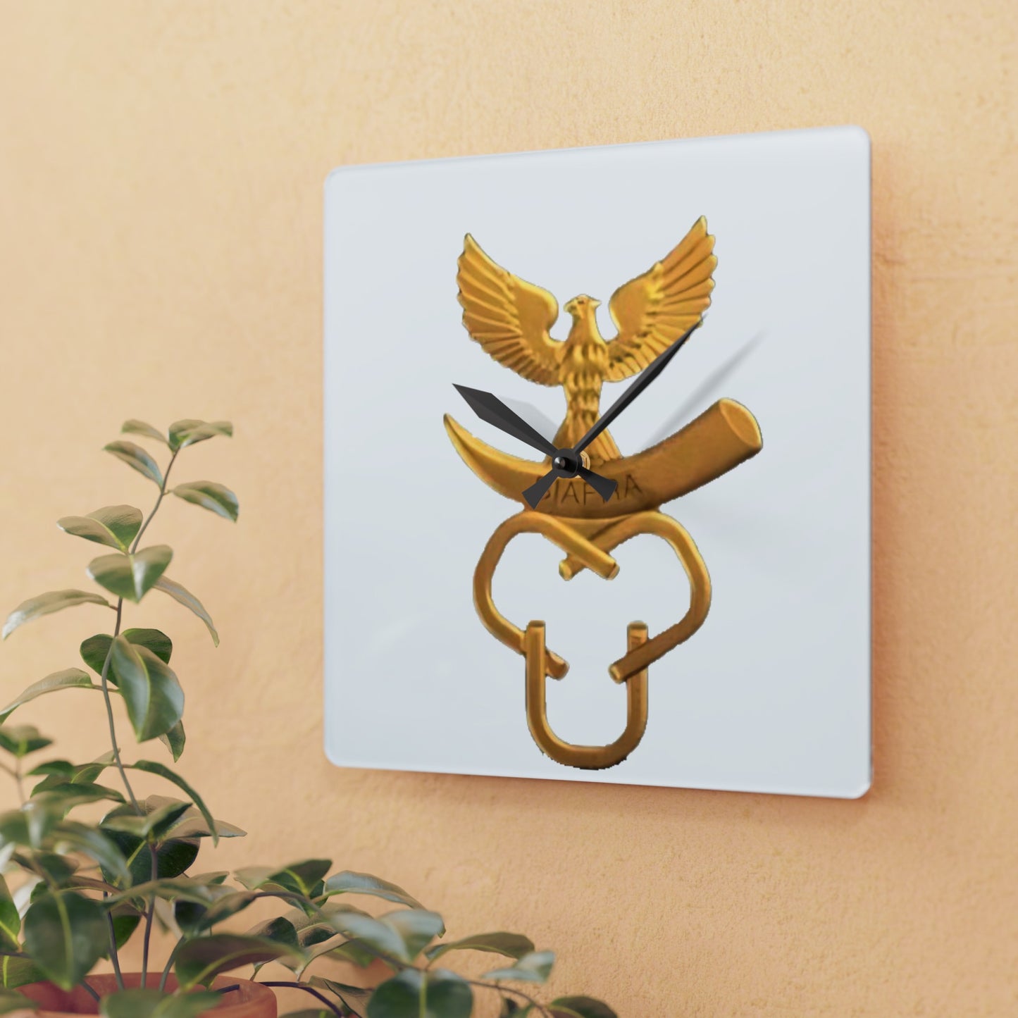 Biafra Liberation Army Acrylic Wall Clock