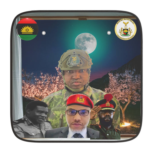 Biafra Heroes Car Sun Shades (Limited Edition)